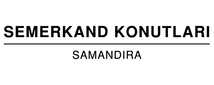 v copy 13